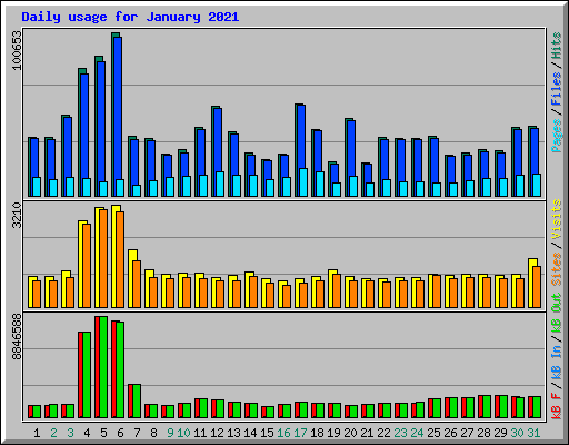 Daily usage for January 2021