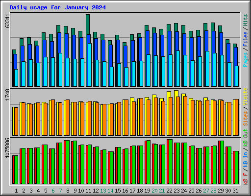 Daily usage for January 2024