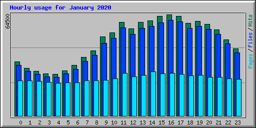 Hourly usage for January 2020