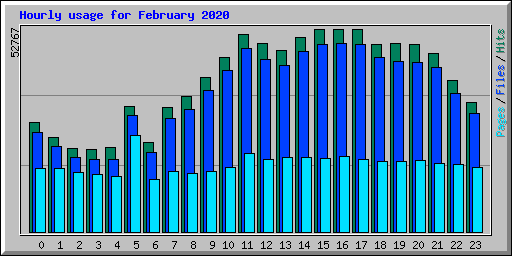 Hourly usage for February 2020