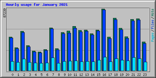 Hourly usage for January 2021