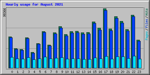Hourly usage for August 2021