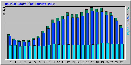 Hourly usage for August 2022