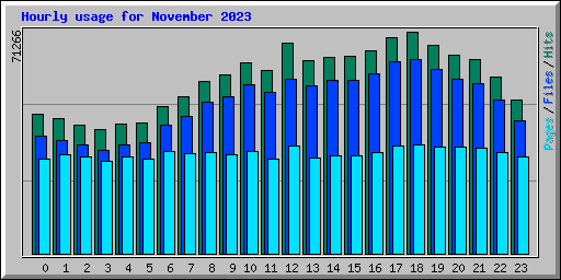 Hourly usage for November 2023