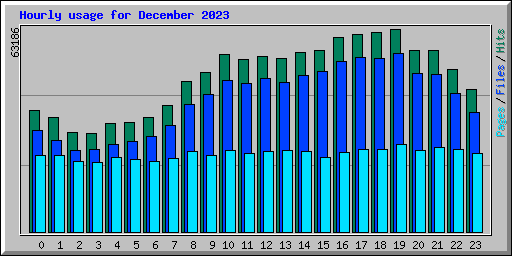 Hourly usage for December 2023