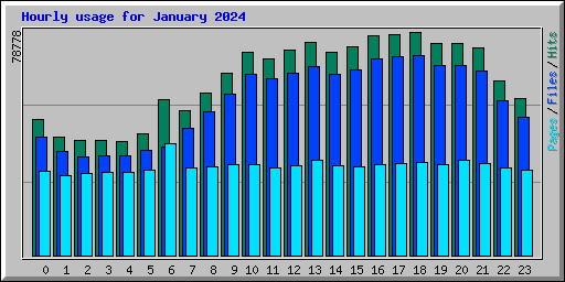 Hourly usage for January 2024