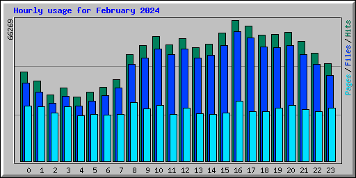 Hourly usage for February 2024