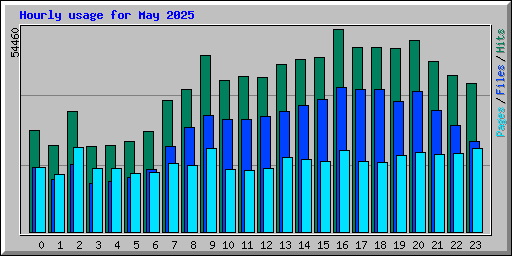 Hourly usage for May 2025