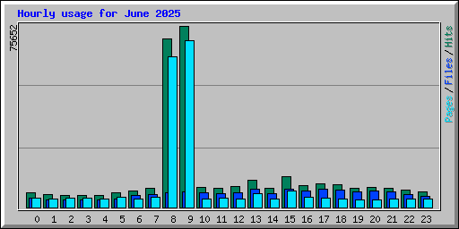 Hourly usage for June 2025