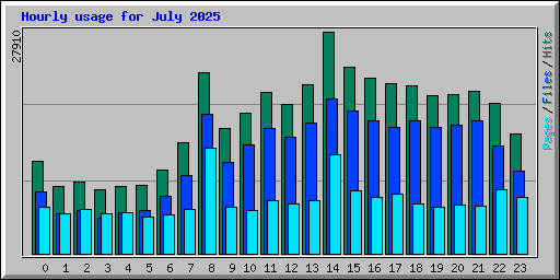 Hourly usage for July 2025