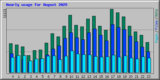 Hourly usage for August 2025