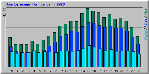 Hourly usage for January 2026