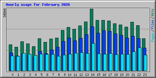 Hourly usage for February 2026